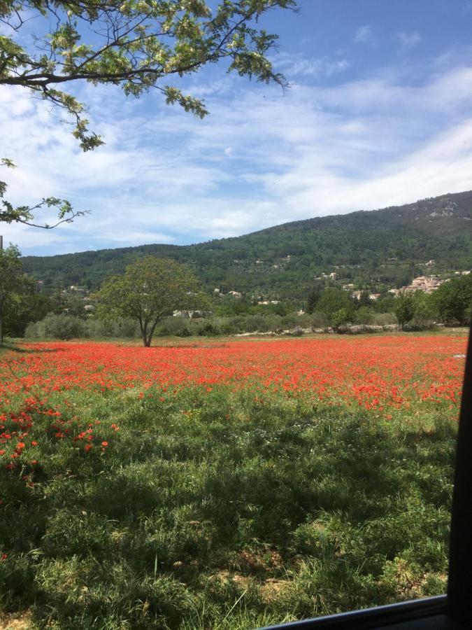 Villa Les Genets Fayence Exterior foto